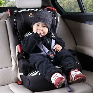 兩只老虎 兒童安全座椅會選才是王道