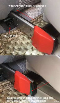 別再犯錯 兒童座椅該朝前還是朝后