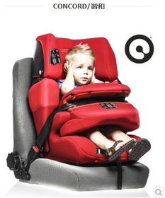 兒童安全座椅有誰知道那里有嗎